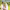https://res.cloudinary.com/billionhands/image/upload/v1781659884/items/sx6x7coabhwgwmkxtbvk.jpg-2cover