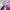 https://res.cloudinary.com/billionhands/image/upload/v1781659983/items/fde0xeh92tzdbyco0jkj.webp-3cover