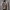 https://res.cloudinary.com/billionhands/image/upload/v1781660066/items/zjgnxdrlq7kq3b7jwd4i.webp-3cover