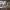 https://res.cloudinary.com/billionhands/image/upload/v1781662971/items/i1z4gvmgeimwyftyjiqg.avif-1cover