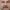 https://res.cloudinary.com/billionhands/image/upload/v1781663221/items/px9pitl4s17rzxagklmo.png-2cover