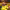 https://res.cloudinary.com/billionhands/image/upload/v1781663293/items/fvzzojjcxqbgip85hyd4.webp-3cover