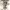 https://res.cloudinary.com/billionhands/image/upload/v1781667346/items/feiuuvbe8dr6ladxlmdz.webp-1cover