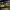 Concacaf Gold Cup 2025 cover