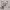 https://res.cloudinary.com/billionhands/image/upload/v1781668261/items/odiaqfd4plfv9msxtaou.webp-0cover