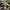 https://res.cloudinary.com/billionhands/image/upload/v1781669354/items/adqfsx0gzzd6hfmgmo4x.jpg-0cover
