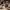 https://res.cloudinary.com/billionhands/image/upload/v1781669385/items/zjhp6vrgcsr3av2eumhx.webp-2cover