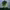 https://res.cloudinary.com/billionhands/image/upload/v1781669630/items/emfrpv592jnjmkcjsbh1.jpg-2cover