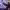 https://res.cloudinary.com/billionhands/image/upload/v1781669688/items/okombwmflfzyivlp34kz.jpg-0cover