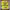 Beyond Meat cover