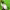 https://res.cloudinary.com/billionhands/image/upload/v1781670117/items/vtqu7ttljuka4cziaquq.jpg-2cover