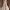 https://res.cloudinary.com/billionhands/image/upload/v1781674537/items/jhuf9qgi5uu1yej5um5p.webp-2cover