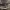 https://res.cloudinary.com/billionhands/image/upload/v1781674923/items/jp9t3vocywzmbwezkekd.jpg-2cover