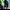 https://res.cloudinary.com/billionhands/image/upload/v1781675928/items/ppfqxgblrcafuvg9rcts.jpg-2cover