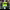 https://res.cloudinary.com/billionhands/image/upload/v1781675931/items/oxhbfmwu4g5dbql9clbw.jpg-0cover