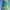 https://res.cloudinary.com/billionhands/image/upload/v1781675932/items/iokpnklkku09wbuuqg9h.jpg-2cover