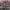 https://res.cloudinary.com/billionhands/image/upload/v1781676611/items/ouxwxzay5qvlnppe08jf.jpg-1cover