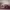 https://res.cloudinary.com/billionhands/image/upload/v1781676785/items/huzoax0pyddgmqwtbp9n.jpg-0cover