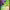 https://res.cloudinary.com/billionhands/image/upload/v1781676840/items/ao5uhd1btn3ccmbz3eyx.jpg-0cover