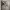 https://res.cloudinary.com/billionhands/image/upload/v1781676844/items/wvijy0cyp9jre0pkhwas.jpg-2cover