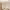 Modern Natural Woven Chinese Style Bamboo Pendant Lamp cover