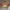 https://res.cloudinary.com/billionhands/image/upload/v1781678193/items/lqzzqqxyid24uzg4gtvs.webp-2cover