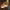 https://res.cloudinary.com/billionhands/image/upload/v1781678199/items/dodeuoo3xejnfw3xnqch.webp-2cover