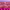 https://res.cloudinary.com/billionhands/image/upload/v1781678937/items/hkby0hixeuofjj7ul1zr.jpg-2cover