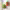 https://res.cloudinary.com/billionhands/image/upload/v1781680142/items/ejqu3qrinvravrevtahq.png-1cover