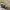https://res.cloudinary.com/billionhands/image/upload/v1781680152/items/vfgxzt4g7qu0uxdz4wdu.jpg-0cover