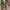 https://res.cloudinary.com/billionhands/image/upload/v1781680197/items/lgxfks5d15tubz4wl45g.avif-2cover