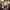 Bungo Stray Dogs cover