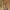 https://res.cloudinary.com/billionhands/image/upload/v1781680780/items/eyxk0wonnpfyuhzdda4y.jpg-2cover