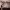 https://res.cloudinary.com/billionhands/image/upload/v1781681479/items/ug8olchc9ynsveiornln.webp-3cover