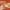 https://res.cloudinary.com/billionhands/image/upload/v1781681797/items/chkyjyvwhdv9npa15m9y.jpg-2cover