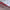 https://res.cloudinary.com/billionhands/image/upload/v1781682286/items/xiyy38tdnzc1mkqvpe8l.jpg-3cover