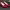 The Ruby Slippers cover