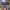 https://res.cloudinary.com/billionhands/image/upload/v1781683319/items/nkki9znr36lowgsjiwgx.webp-2cover