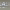 https://res.cloudinary.com/billionhands/image/upload/v1781684882/items/cuznfx0cjvdngonoy2zd.jpg-2cover