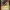 https://res.cloudinary.com/billionhands/image/upload/v1781684919/items/f0uyu0lodc5loeh6chdo.png-3cover