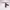 https://res.cloudinary.com/billionhands/image/upload/v1781685232/items/dx7j2cuigxzlqaudlrrm.webp-3cover