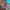 https://res.cloudinary.com/billionhands/image/upload/v1781685493/items/myxrxs3htkxqrxlvwpt5.jpg-2cover