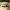 Lentil and Beetroot Burger (Viva Burger) cover