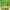 https://res.cloudinary.com/billionhands/image/upload/v1781687742/items/yapr1ztwq4vb1jsk6bea.jpg-3cover
