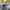 https://res.cloudinary.com/billionhands/image/upload/v1781687919/items/mlnppfe2rhnklayrfwhz.webp-3cover