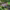 https://res.cloudinary.com/billionhands/image/upload/v1781688675/items/l40lnv0uhv37s0rard3t.jpg-0cover