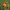 https://res.cloudinary.com/billionhands/image/upload/v1781690267/items/ccjxdjbdeig7iybw5hgh.webp-1cover