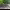 https://res.cloudinary.com/billionhands/image/upload/v1781690540/items/nfdo3x8heh06cqr9tvgg.jpg-1cover