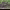 https://res.cloudinary.com/billionhands/image/upload/v1781690541/items/llmt9o9g5vosnfj83khn.jpg-1cover