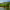 Hinchinbrook Mangrove Forests (Queensland) cover